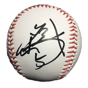 ベストプレー選手賞の贈呈権のイメージ画像