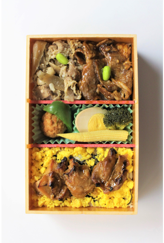 ここに画像が入ります