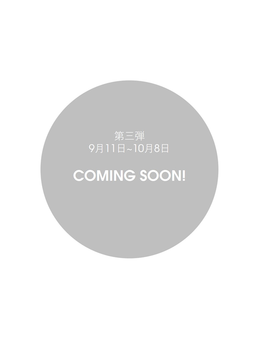 ここに画像が入ります