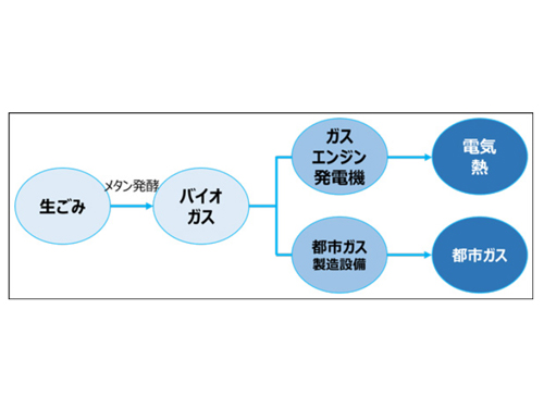 ここに画像が入ります