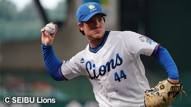 ライオンズさん専用どぅっりどぅりにサシが入った密集ルチルたん！飾っても良いかも！ ✨ 天然石の魔法を発見しよう！ ✨ Afghan Brother Co., Ltd.では、美