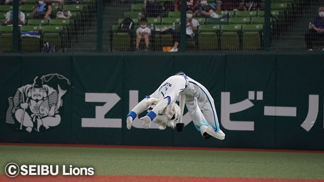 ここに画像が入ります