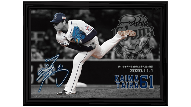  ここに画像が入ります