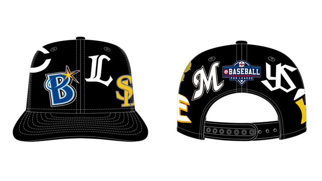  ここに画像が入ります