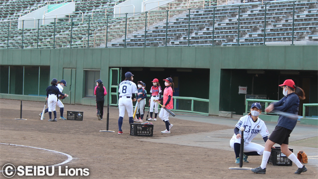  ここに画像が入ります