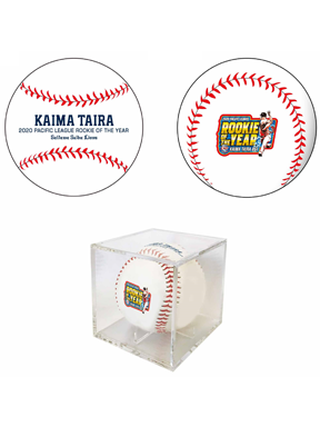  ここに画像が入ります