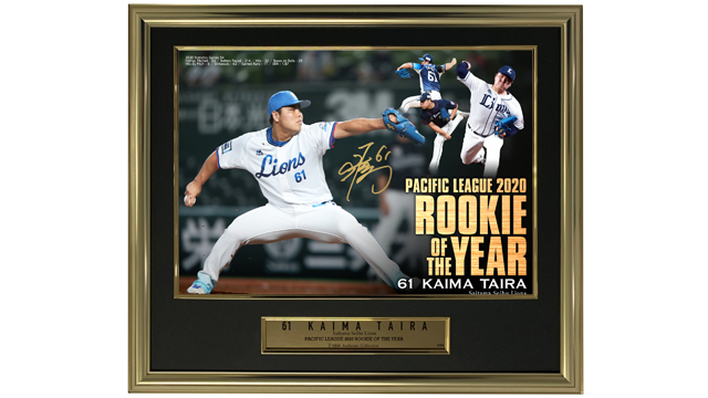  ここに画像が入ります