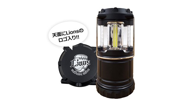  ここに画像が入ります