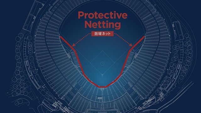  ここに画像が入ります