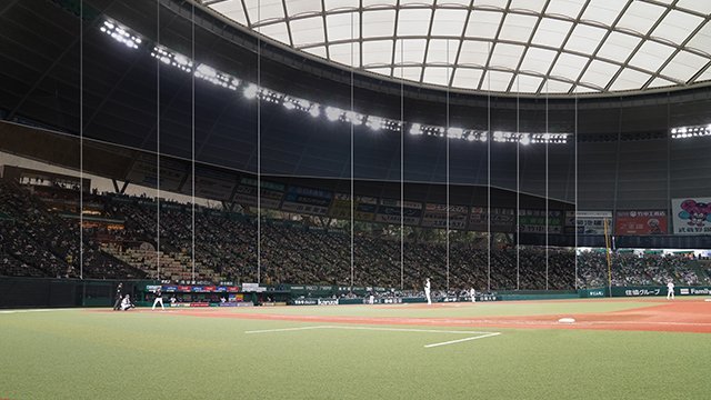  ここに画像が入ります