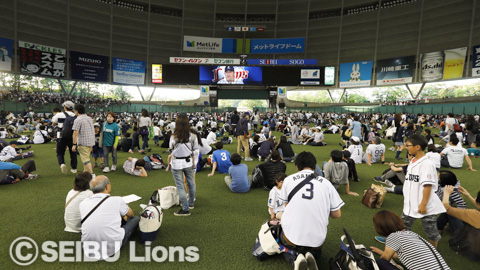 フィールドシアター