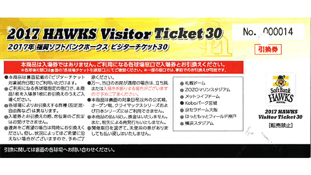 ビジターチケット30(引換券)