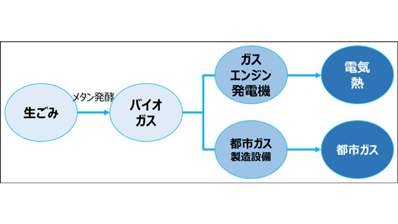  ここに画像が入ります