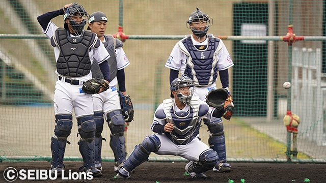  ここに画像が入ります