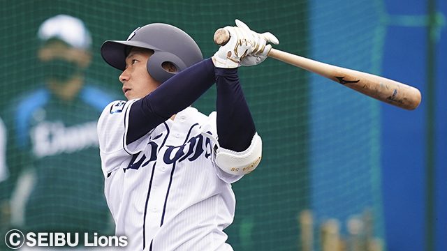  ここに画像が入ります