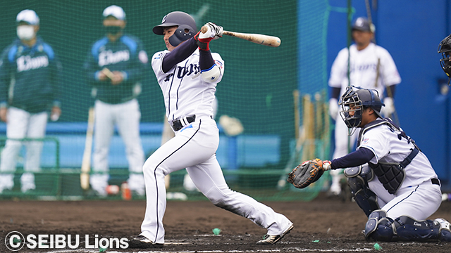  ここに画像が入ります