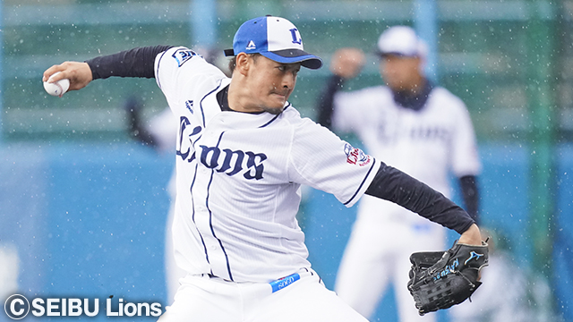  ここに画像が入ります