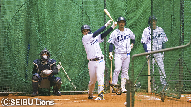  ここに画像が入ります