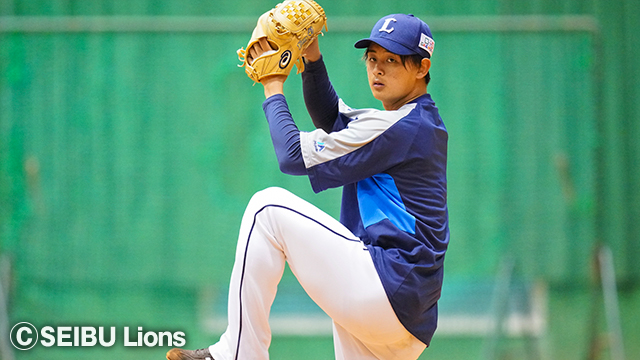  ここに画像が入ります