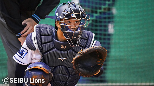  ここに画像が入ります