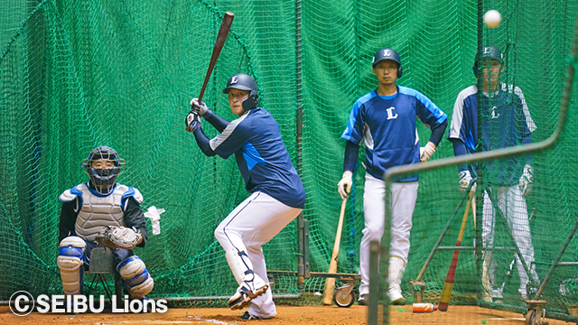  ここに画像が入ります