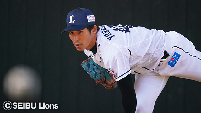  ここに画像が入ります