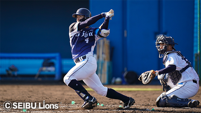  ここに画像が入ります