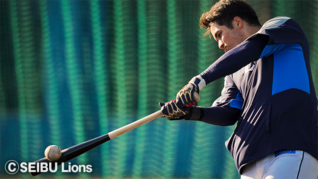  ここに画像が入ります