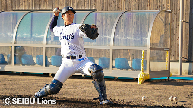  ここに画像が入ります