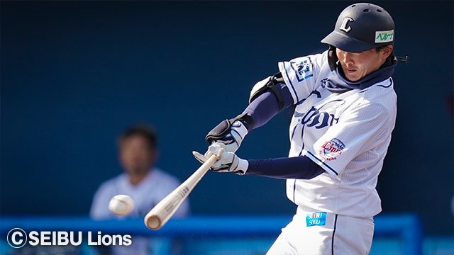  ここに画像が入ります