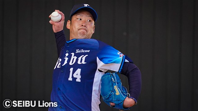  ここに画像が入ります