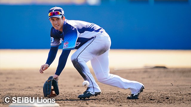  ここに画像が入ります