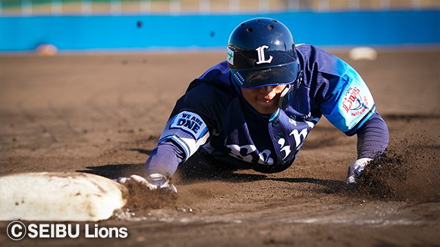  ここに画像が入ります