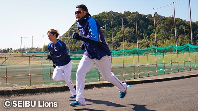  ここに画像が入ります