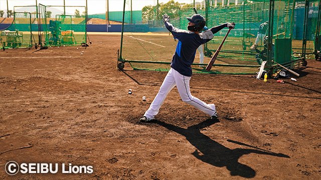  ここに画像が入ります