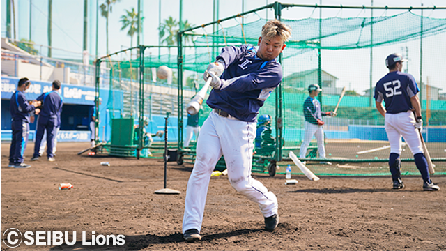  ここに画像が入ります