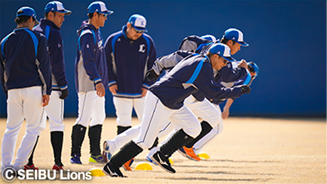  ここに画像が入ります