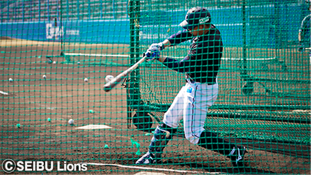  ここに画像が入ります