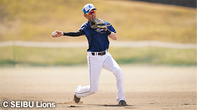  ここに画像が入ります