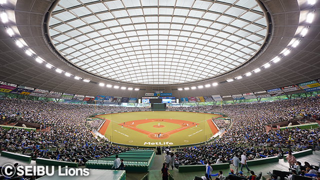 ここに画像が入ります