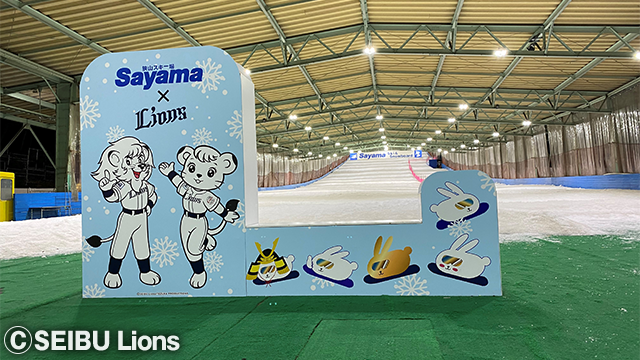 ここに画像が入ります