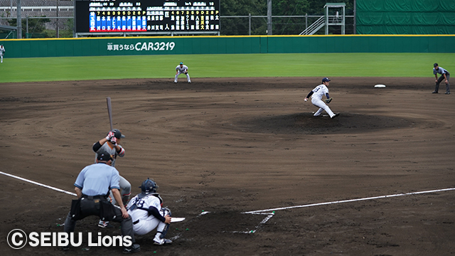 ここに画像が入ります