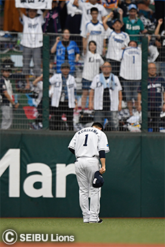 ここに画像が入ります