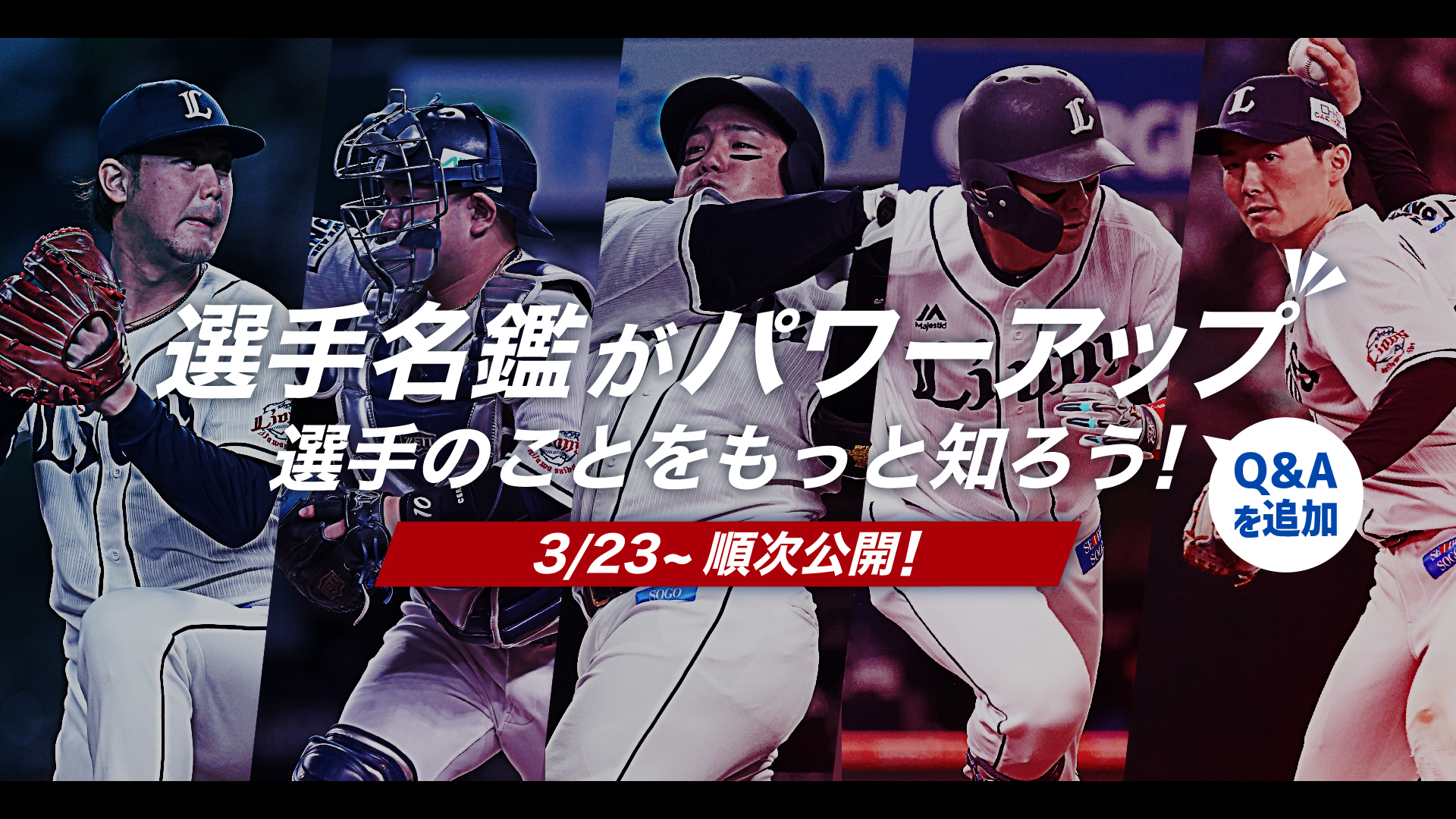 ここに画像が入ります