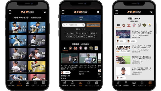 ここに画像が入ります