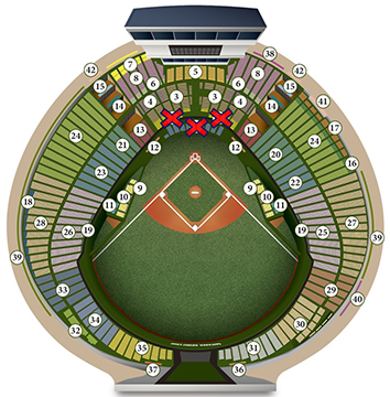 ここに画像が入ります