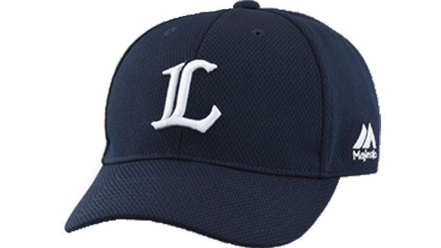 ここに画像が入ります