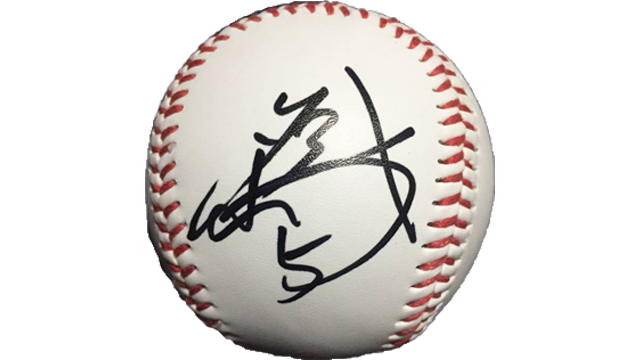 ここに画像が入ります