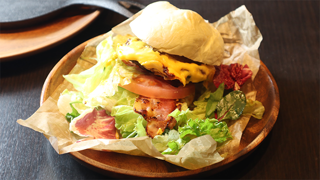 ここに画像が入ります