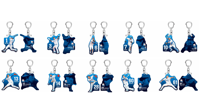 ここに画像が入ります